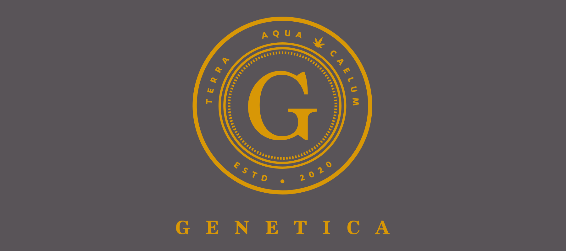 Genetica raises $500k seed round to make cannabis shopping smarter with AI